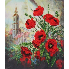 50347 Вид из арки