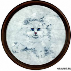1016 Кошачий взгляд